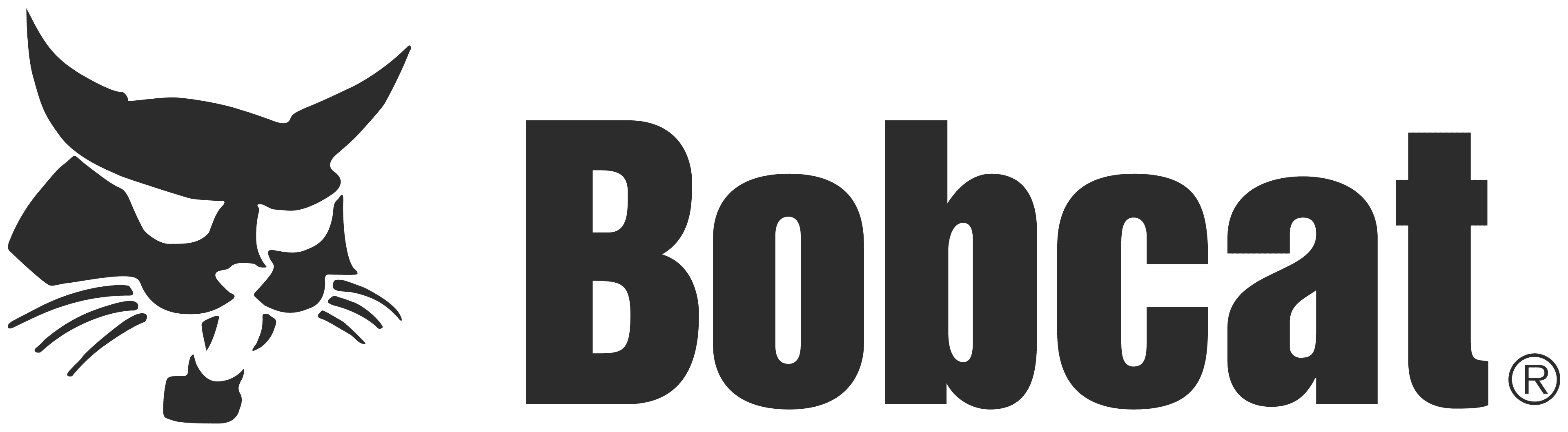 Bodcat